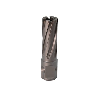 11/16 X 2  Carbide Cutter And Pilot, 3/4 Universal Shank